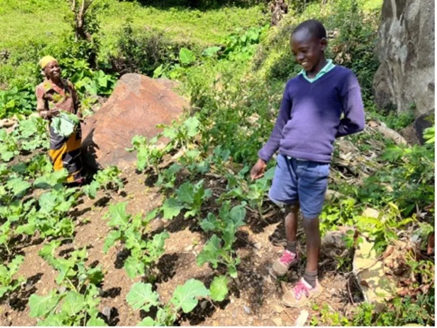 A young person tending rows of vegetables on a hillside plot
