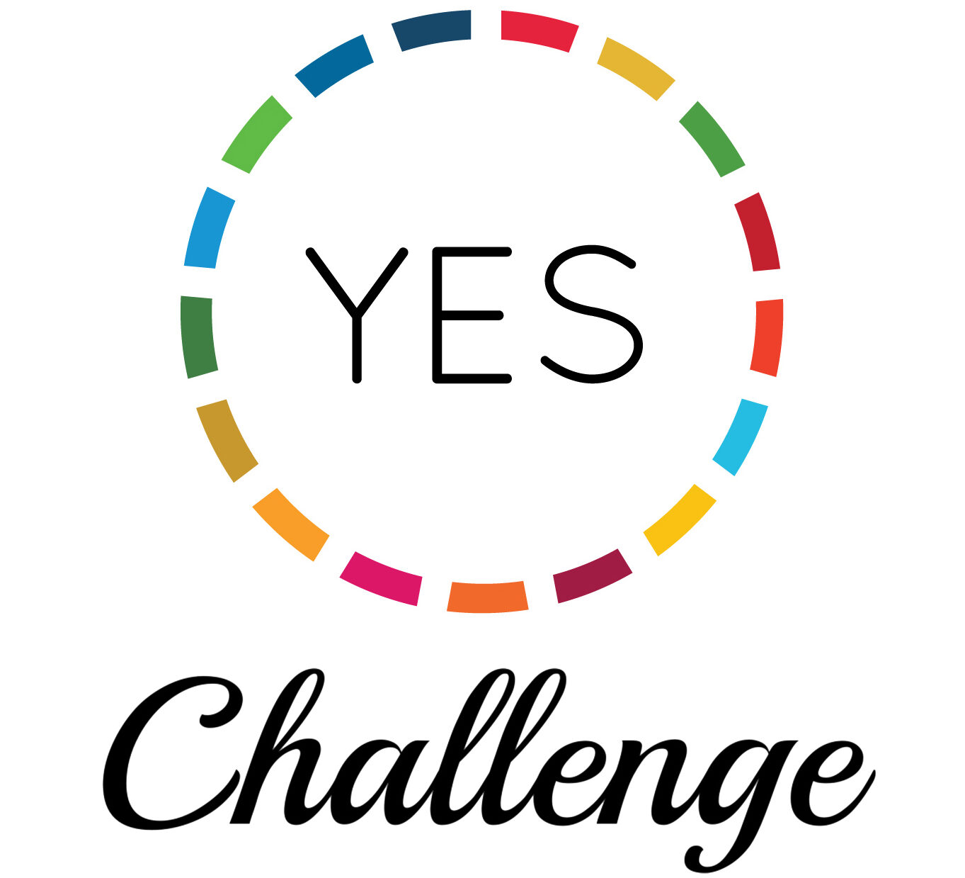 The YES Challenge – Youth Development That Works